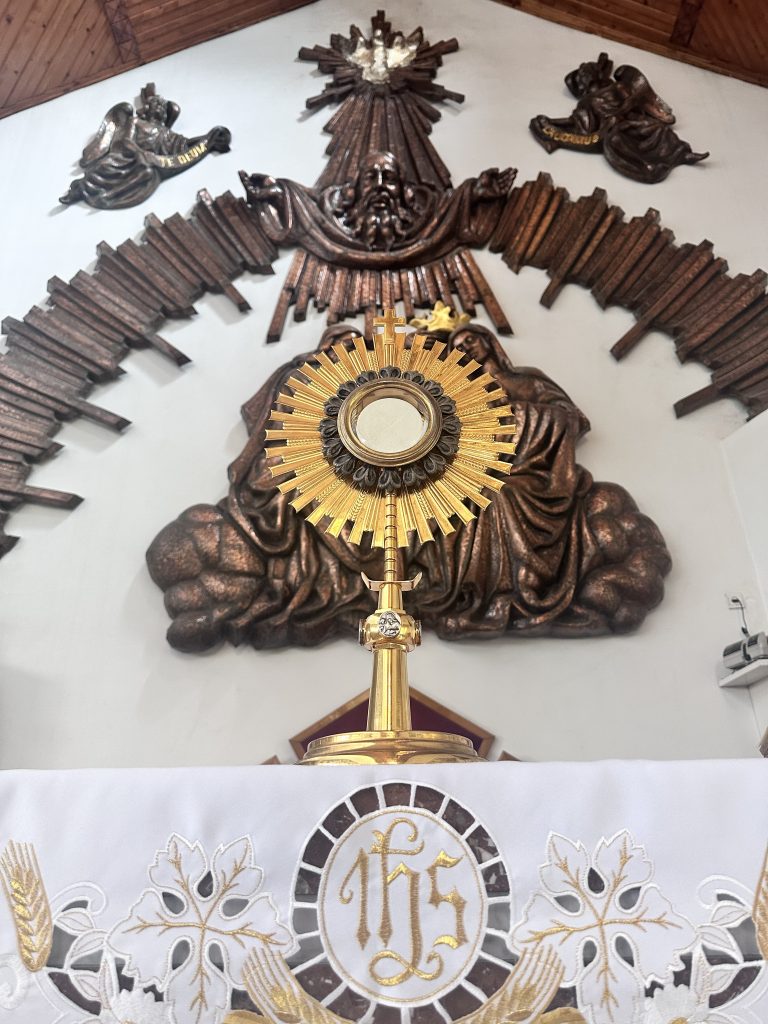 Adoracja Najświętszego Sakramentu – codziennie o 17.30; w niedzielę o 11.15